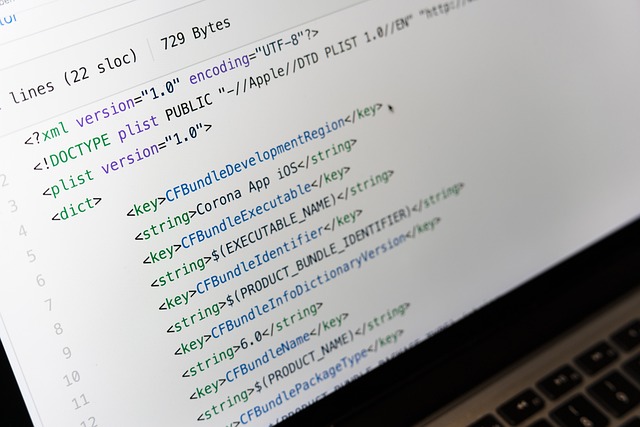 Programmatic advertising campaign setup and management